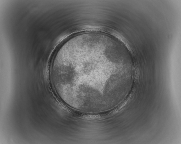 X0000116611074200912181201