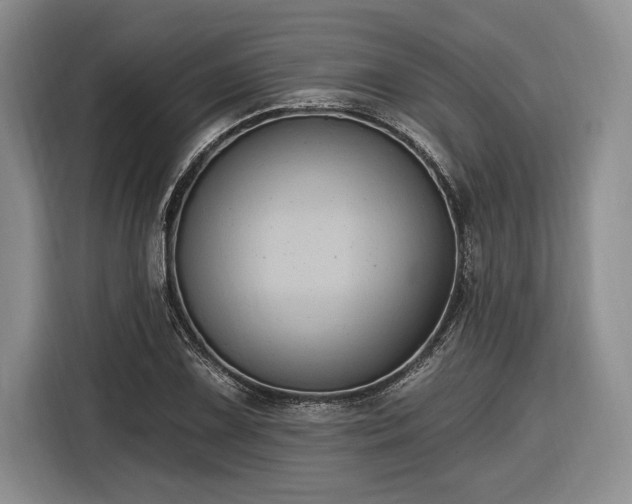 X0000116611075200912181201