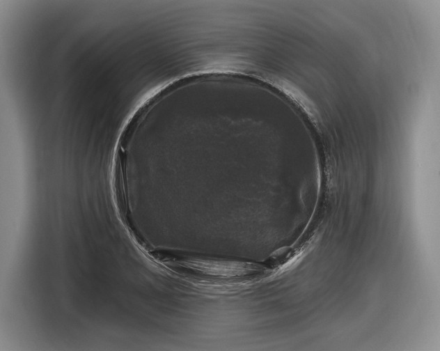 X0000116611077200912181201