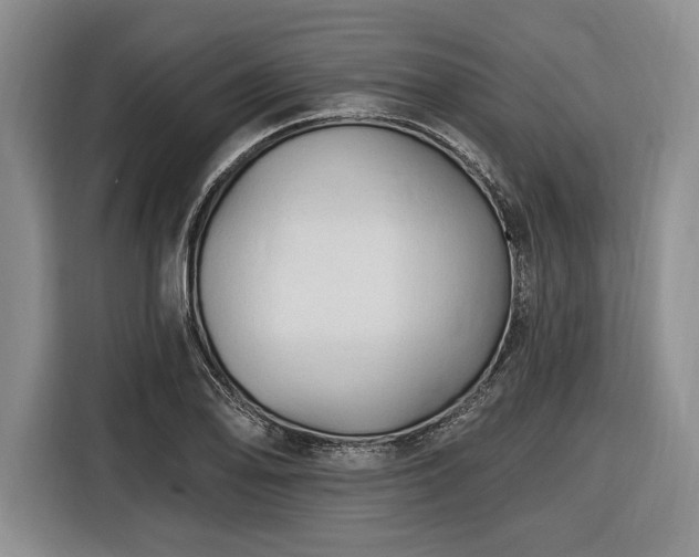 X0000116611078200912181201