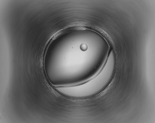 X0000116611081200912181201