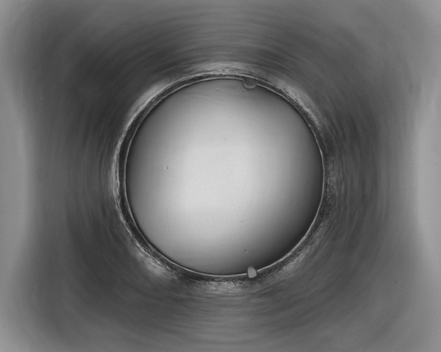 X0000116611082200912181201