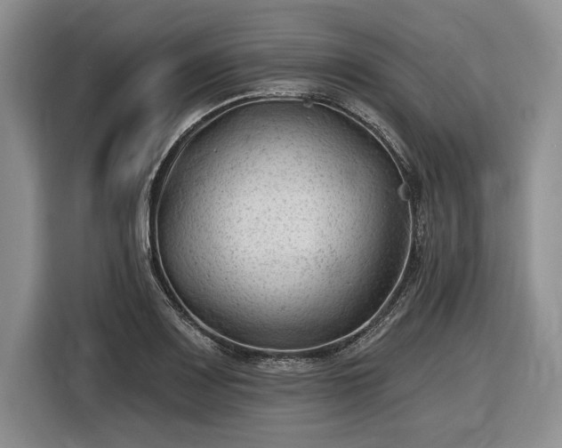 X0000116611083200912181201