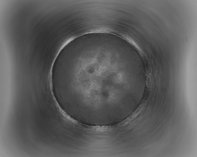 X0000116611087200912181201