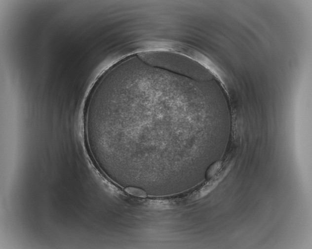 X0000116611088200912181201