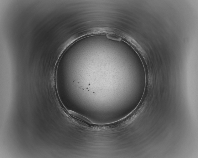 X0000116611089200912181201