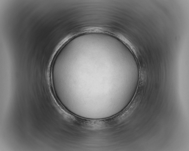 X0000116611090200912181201