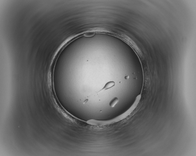 X0000116611092200912181201