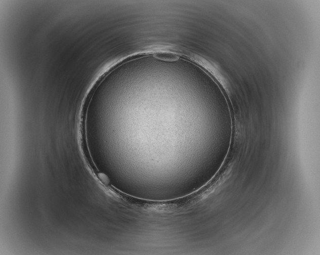 X0000116611093200912181201