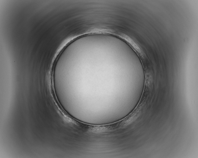 X0000116611094200912181201