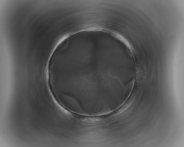 X0000116611095200912181201