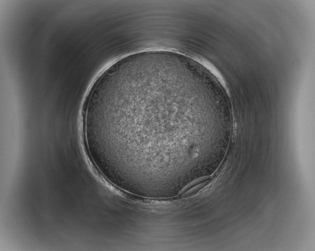 X0000116611096200912181201