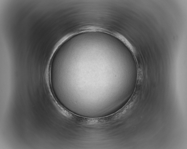 X0000116611098200912181201