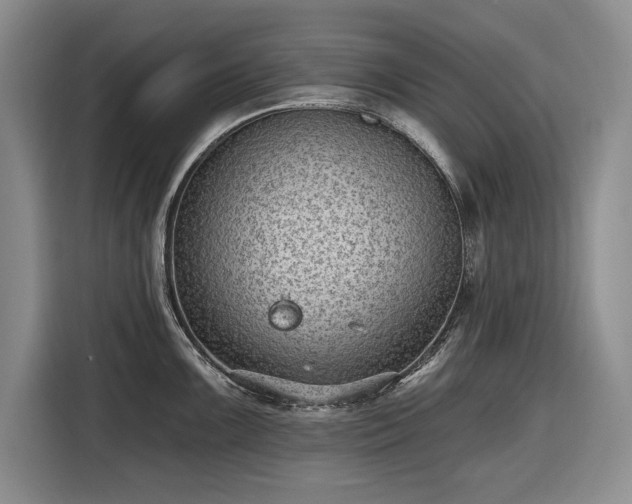 X0000116611099200912181201