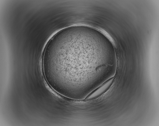 X0000116611100200912181201