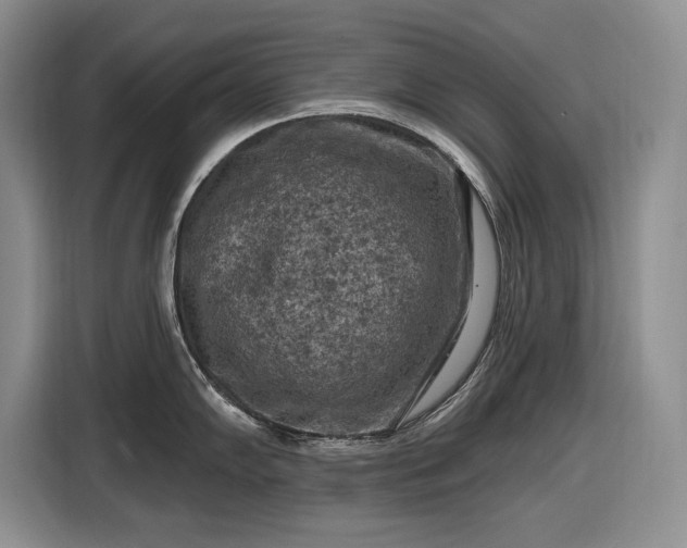 X0000116611102200912181201