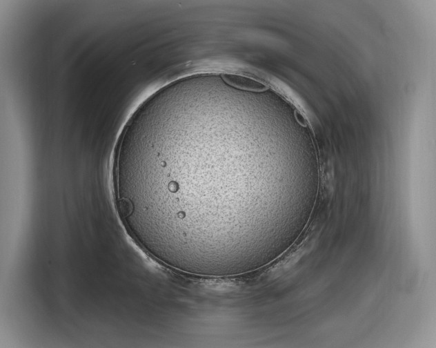 X0000116611103200912181201