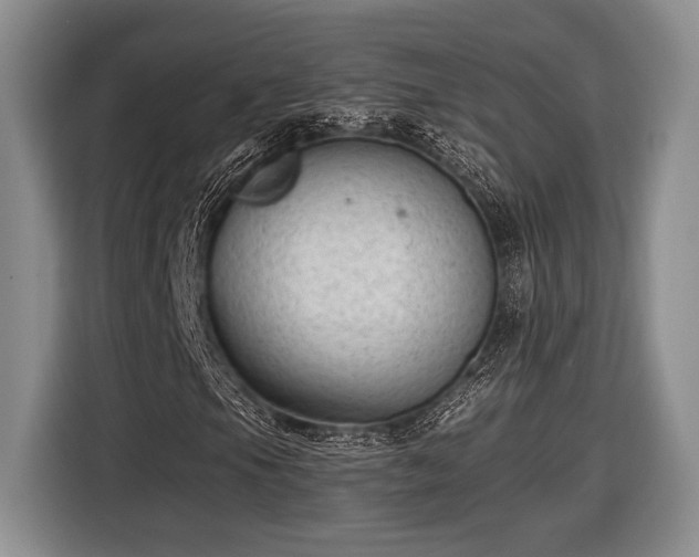 X0000116611105200912181200