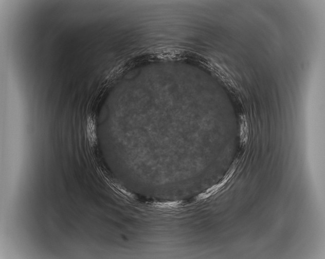 X0000116611106200912181200