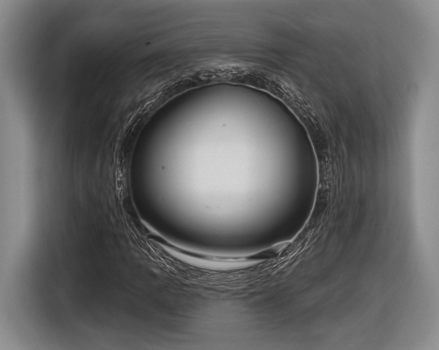 X0000116611109200912181200