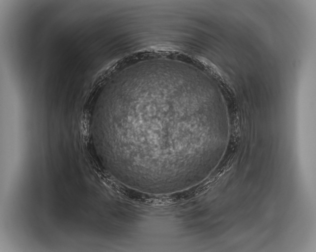 X0000116611110200912181201