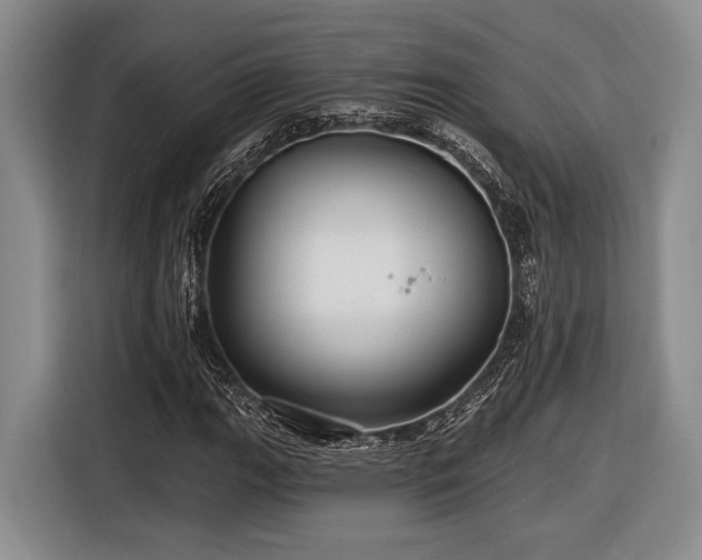 X0000116611111200912181201