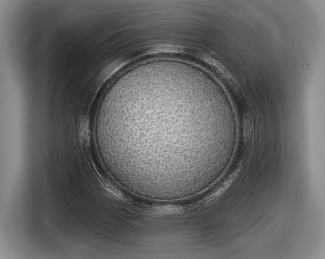 X0000116611113200912181201