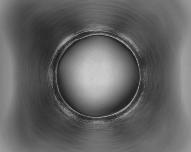 X0000116611114200912181201