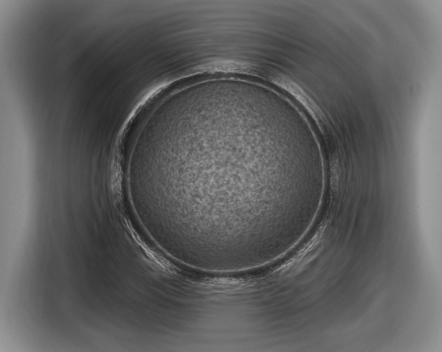 X0000116611115200912181201