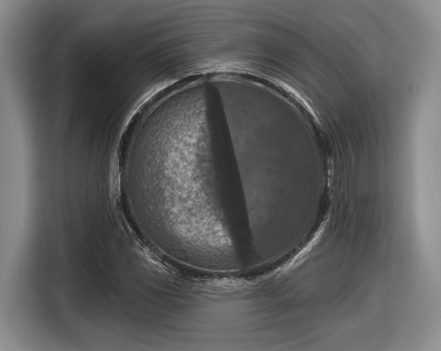 X0000116611117200912181201