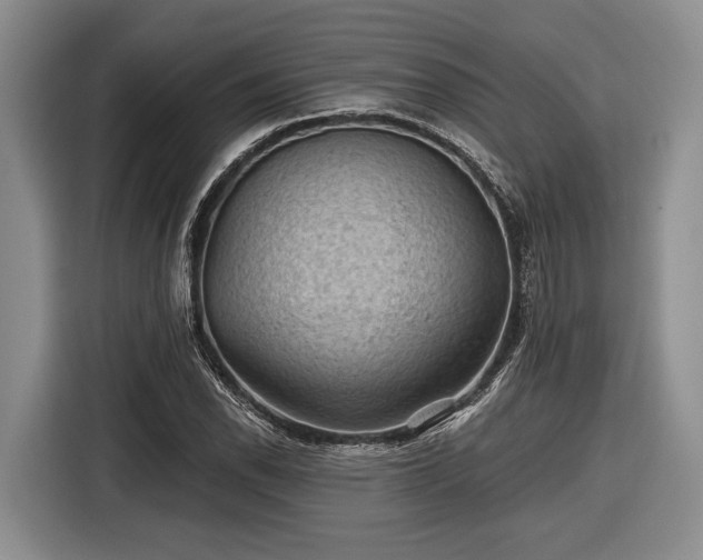 X0000116611118200912181201