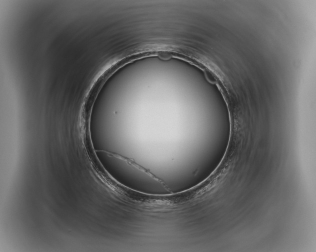 X0000116611119200912181201