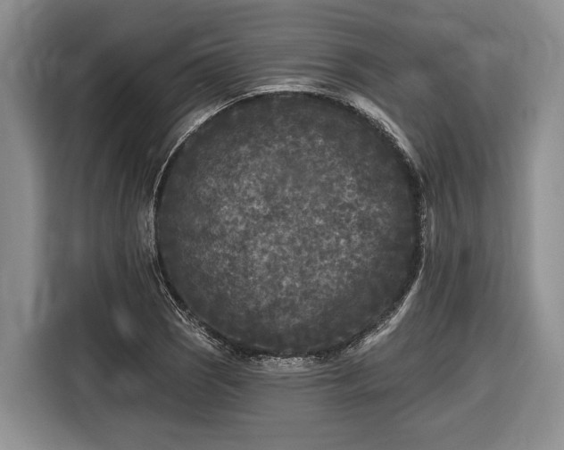 X0000116611121200912181201