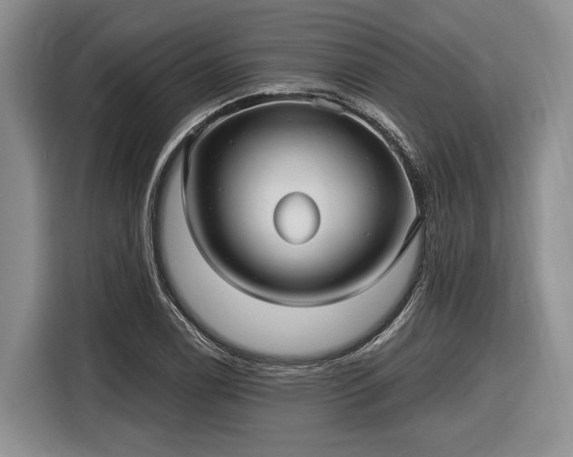 X0000116611122200912181201