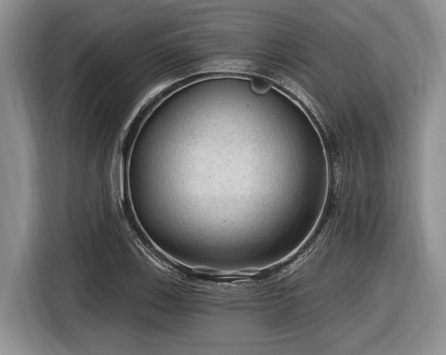 X0000116611123200912181201