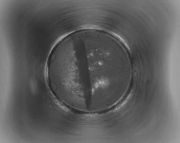 X0000116611125200912181201