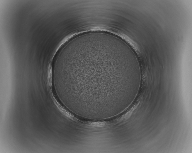 X0000116611126200912181201