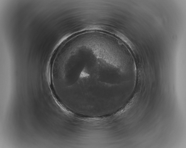 X0000116611127200912181201