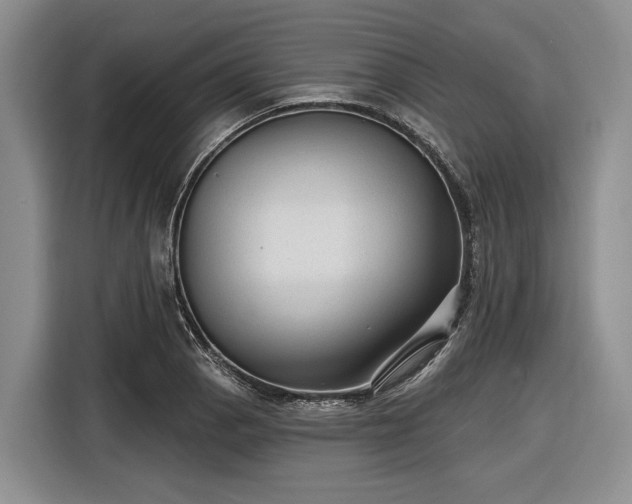 X0000116611129200912181201