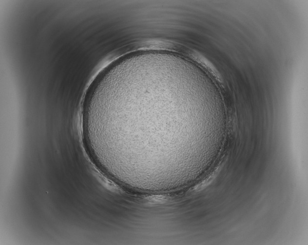 X0000116611130200912181201