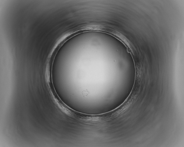 X0000116611131200912181201