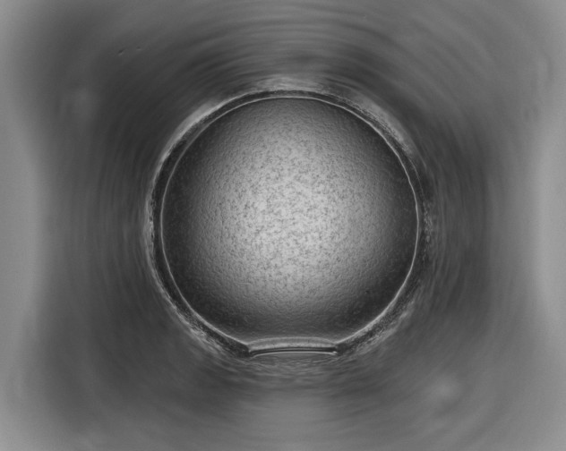 X0000116611133200912181201