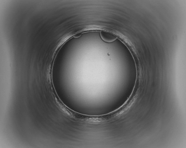 X0000116611137200912181201