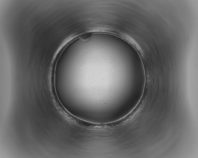 X0000116611138200912181201