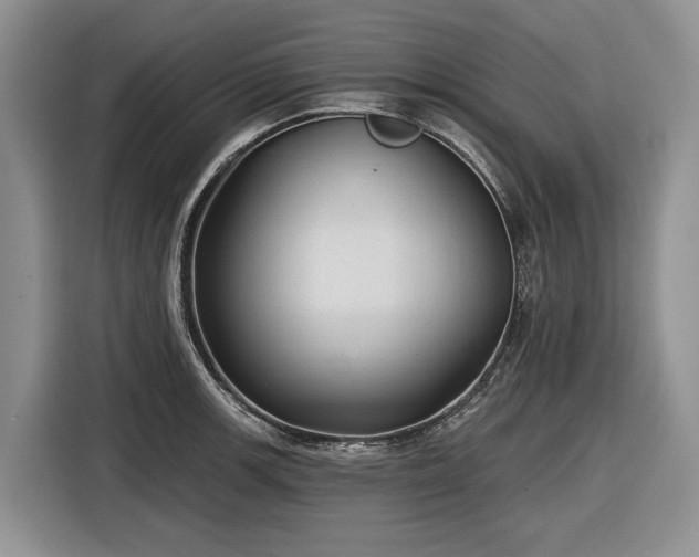 X0000116611139200912181201