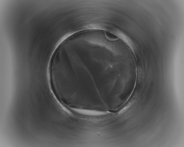 X0000116611141200912181201