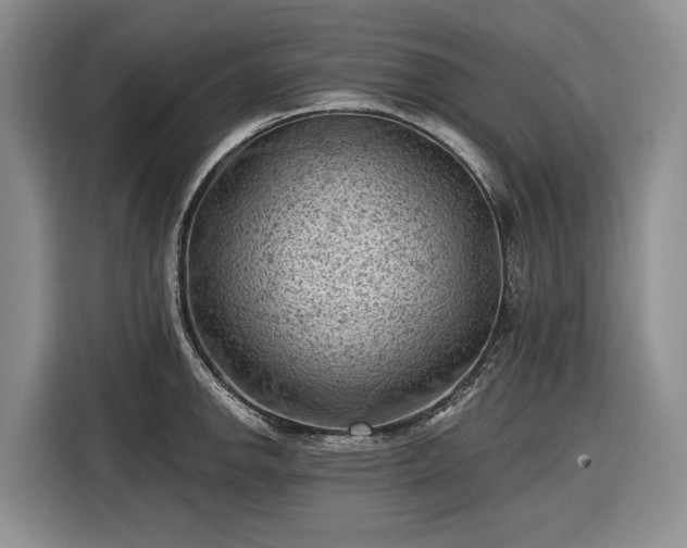 X0000116611142200912181201