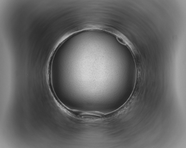 X0000116611143200912181201