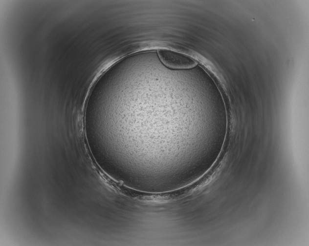 X0000116611145200912181201