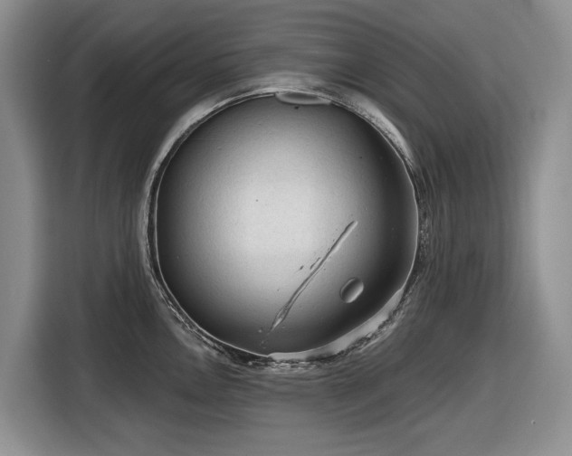 X0000116611146200912181201